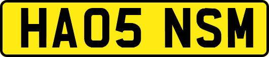HA05NSM