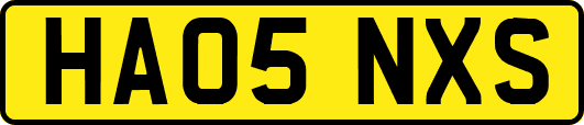 HA05NXS