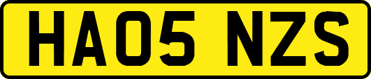 HA05NZS