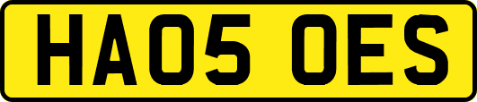 HA05OES
