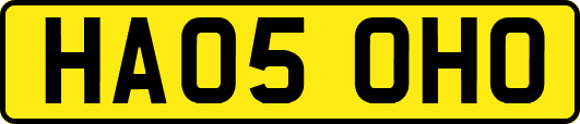 HA05OHO
