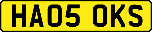 HA05OKS