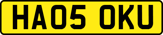 HA05OKU