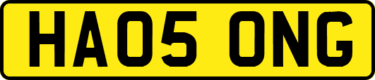 HA05ONG