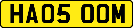 HA05OOM