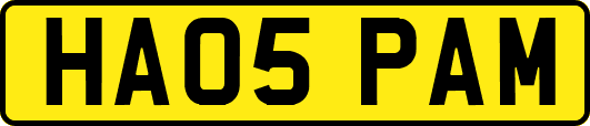 HA05PAM