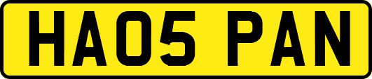 HA05PAN