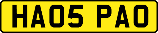 HA05PAO