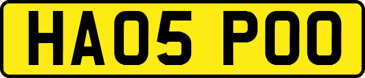 HA05POO