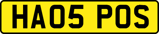 HA05POS