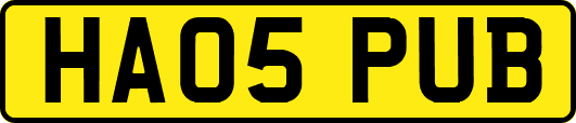 HA05PUB