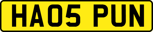 HA05PUN