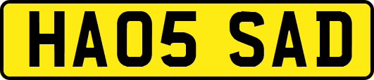 HA05SAD