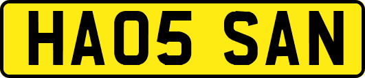 HA05SAN