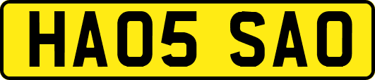 HA05SAO
