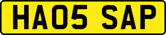 HA05SAP