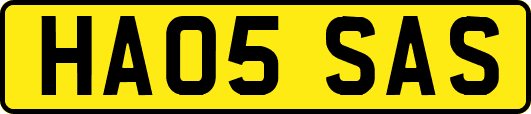 HA05SAS