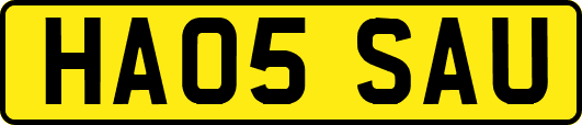 HA05SAU