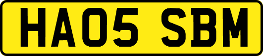 HA05SBM