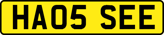 HA05SEE