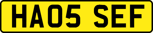 HA05SEF