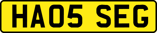 HA05SEG