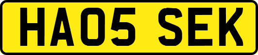 HA05SEK