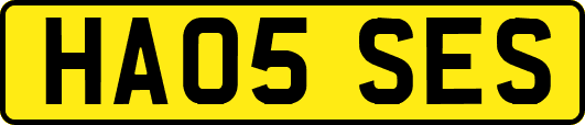 HA05SES