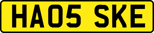 HA05SKE