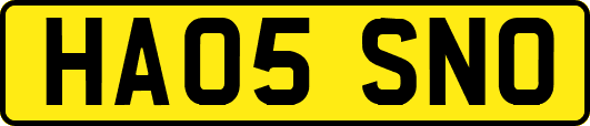 HA05SNO