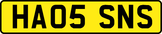 HA05SNS