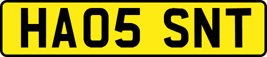 HA05SNT