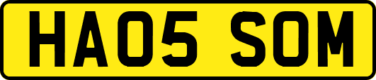 HA05SOM