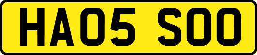 HA05SOO