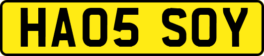 HA05SOY