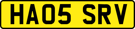 HA05SRV