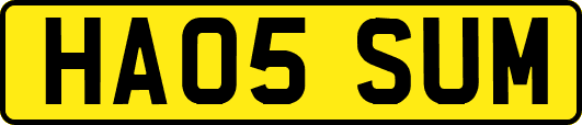 HA05SUM