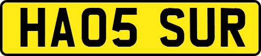 HA05SUR