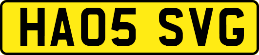 HA05SVG