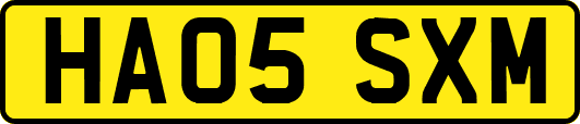 HA05SXM