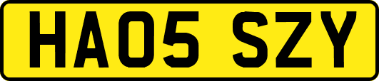 HA05SZY