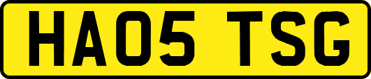 HA05TSG
