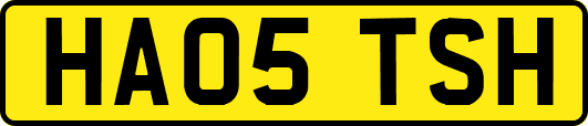 HA05TSH