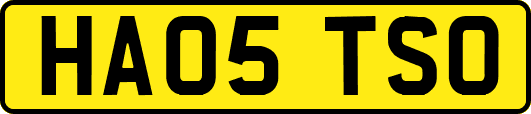 HA05TSO