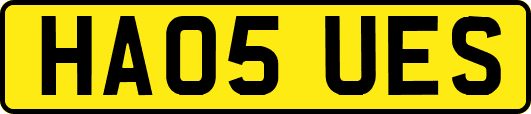 HA05UES
