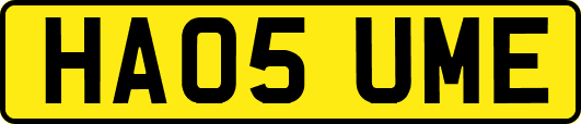 HA05UME