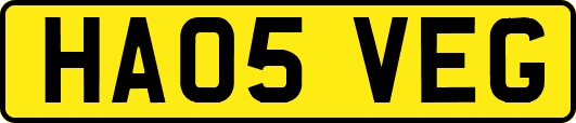 HA05VEG