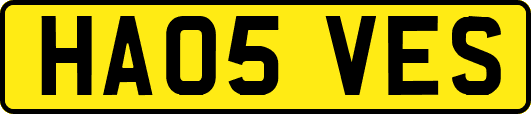 HA05VES