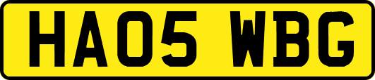 HA05WBG