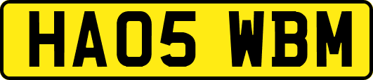 HA05WBM